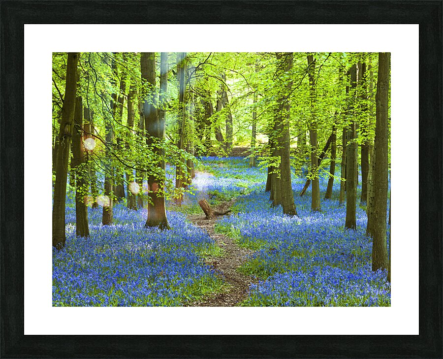 Azure Pathway Picture Frame print