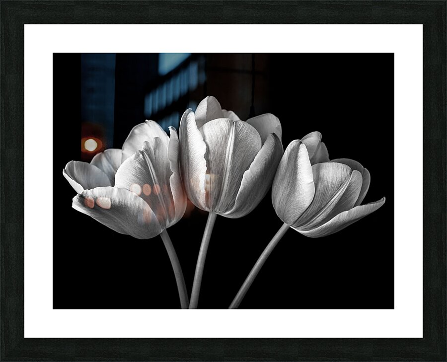 Fresh Blooms Picture Frame print