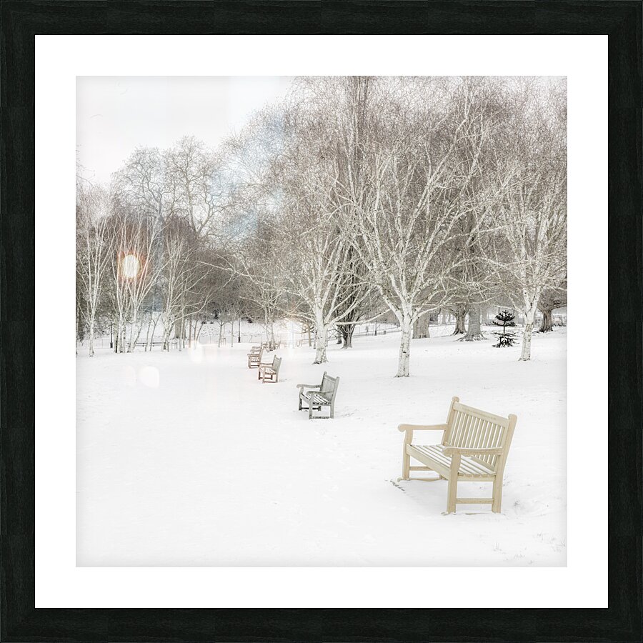 White Winter Picture Frame print