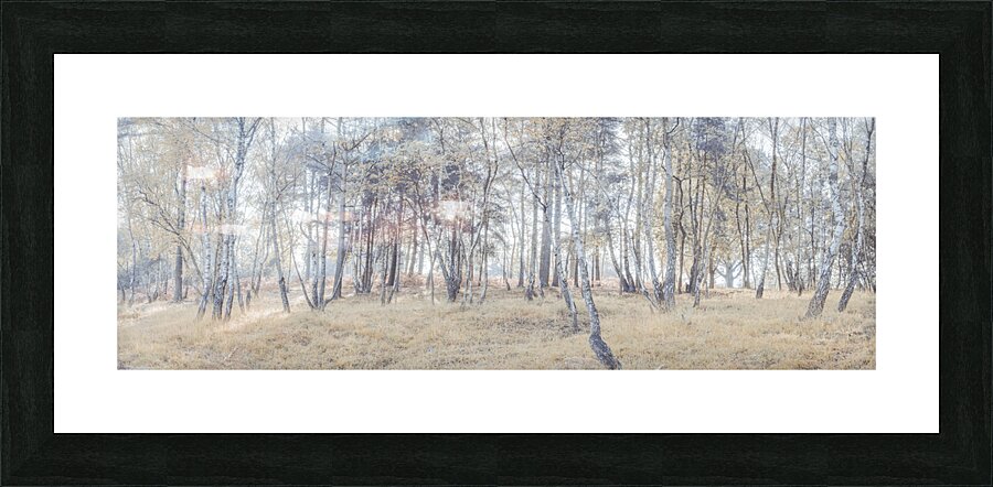 Dense Forest Picture Frame print