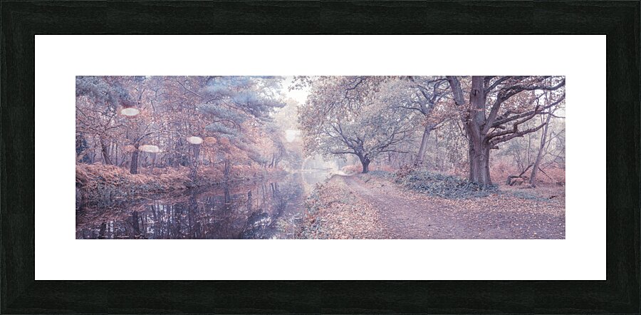 Misty Canal Picture Frame print
