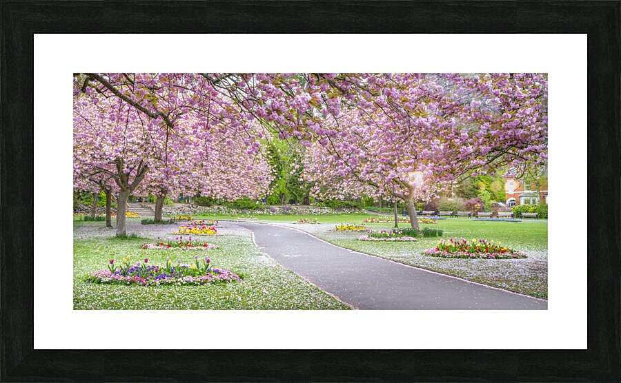 Blossom Park Picture Frame print