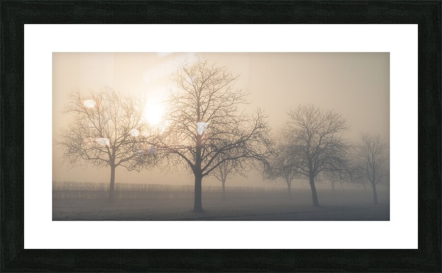 Misty morning Picture Frame print