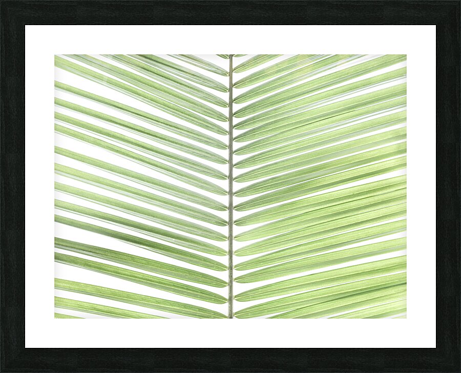 Palm Veins Picture Frame print