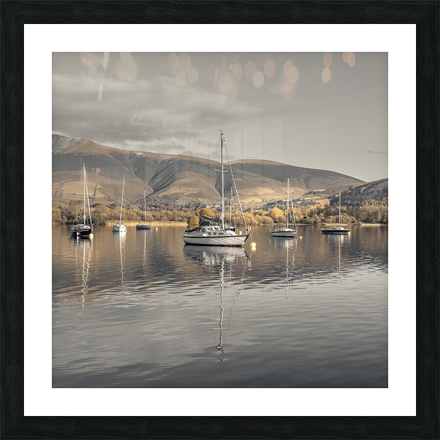 Smooth Sailing Picture Frame print