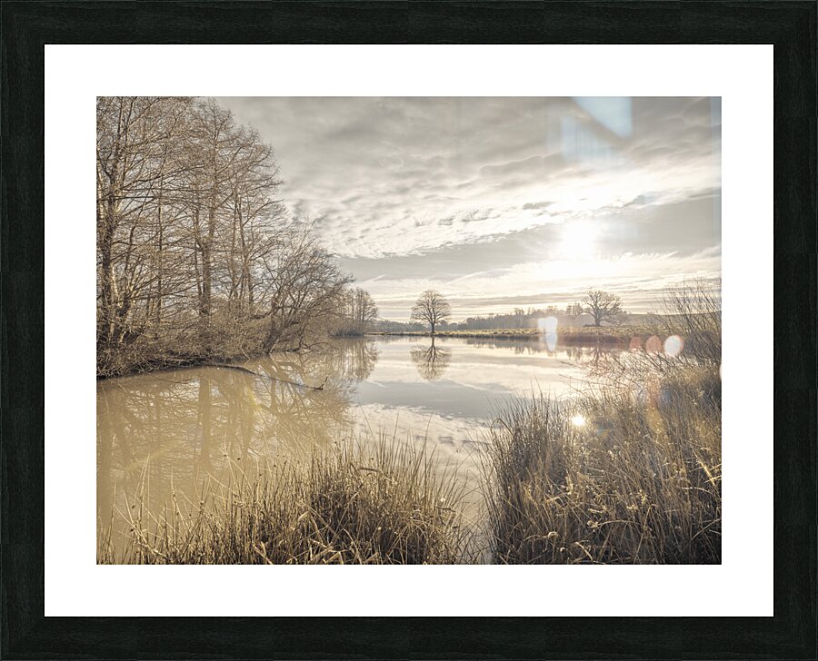 Pond Sunrise Picture Frame print