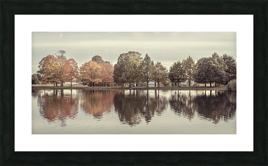 Trees By Lake Picture Frame print