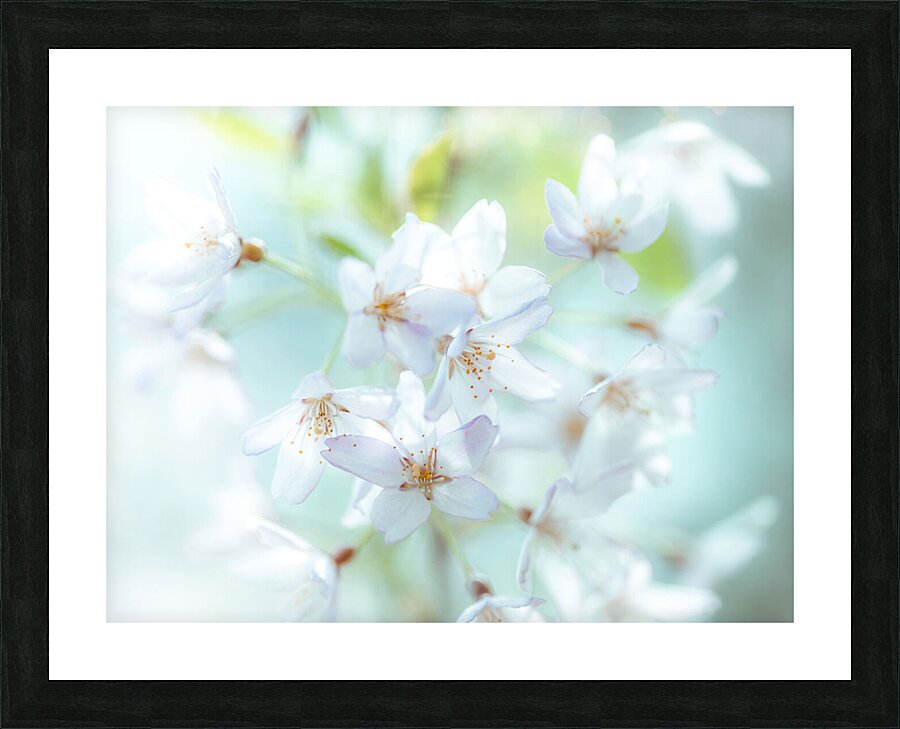 Springtime Blossoms Picture Frame print