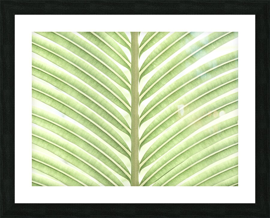 Verdant Leaf Stripes Picture Frame print