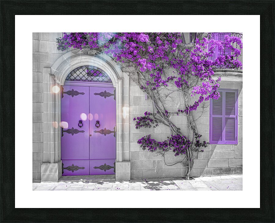 Maltese House Picture Frame print