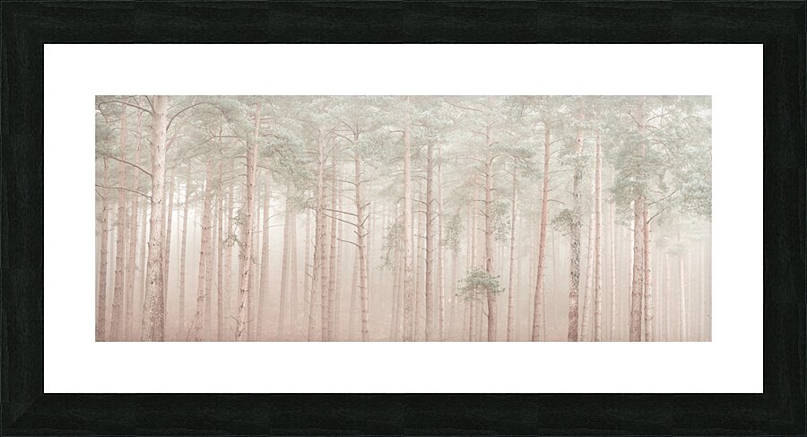 Misty Woodlands Picture Frame print