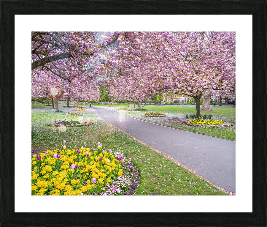 Park Prettiness Picture Frame print