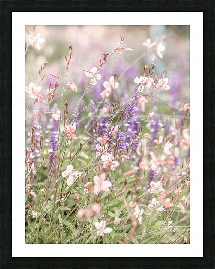 Soft and delicate Picture Frame print