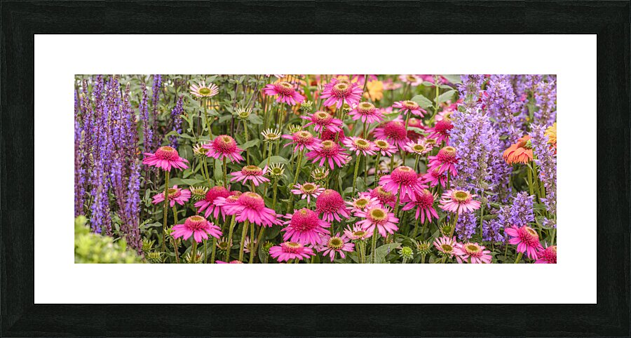 Summer Blooms Picture Frame print