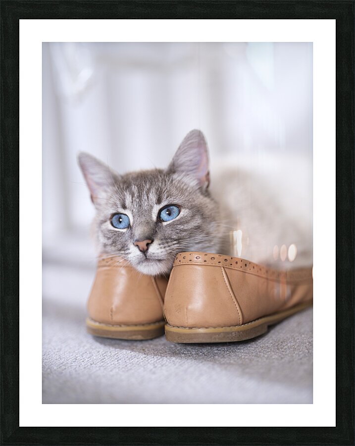 Purrfect Pair Picture Frame print