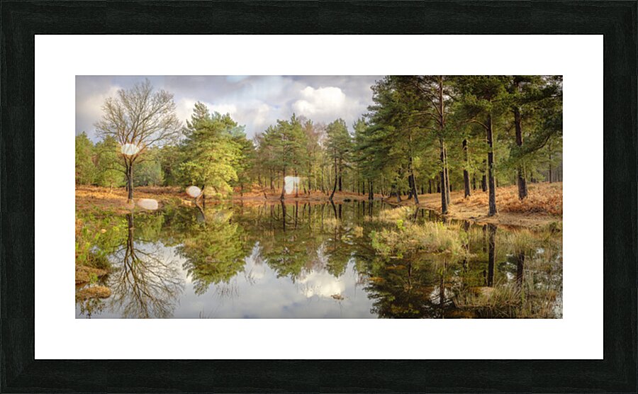 Trees by a lake Picture Frame print