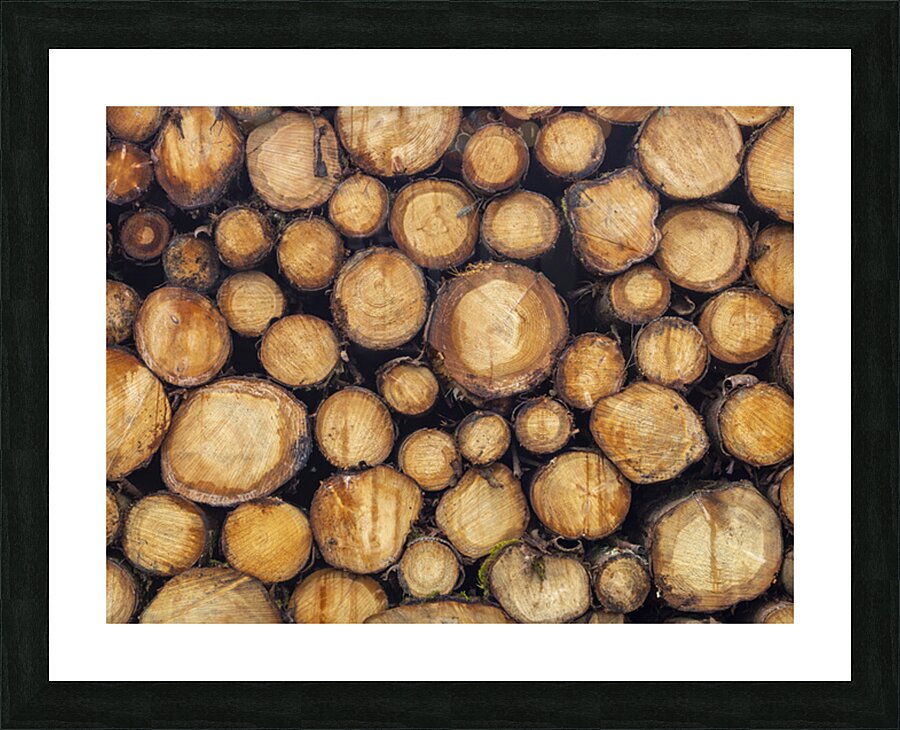 Wood logs Picture Frame print