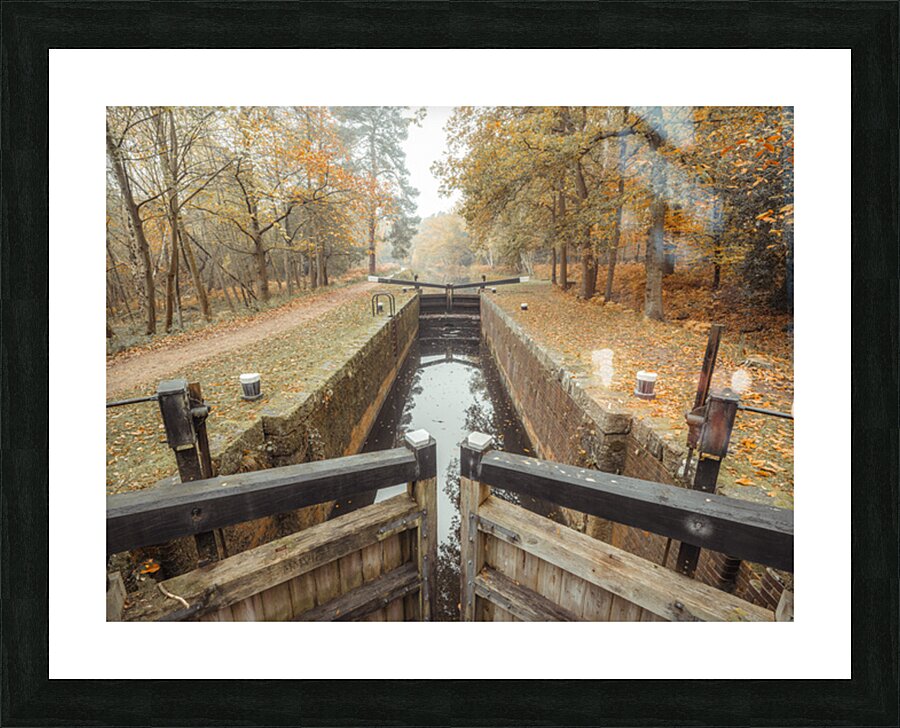 Forest Lock Picture Frame print