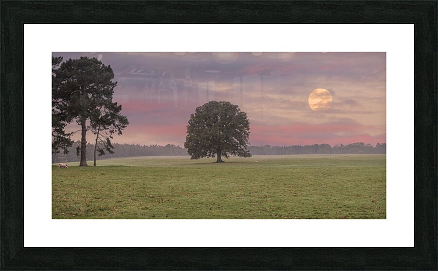 Trees in Meadow Picture Frame print