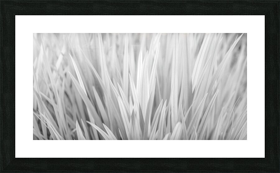 Swirling Blades Picture Frame print