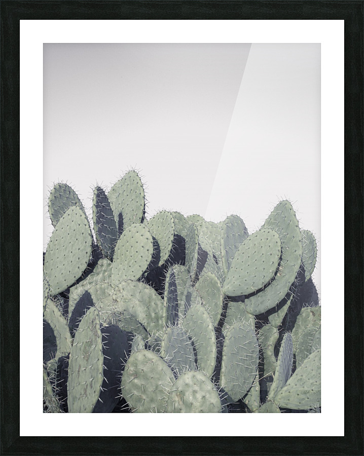 Cacti Picture Frame print