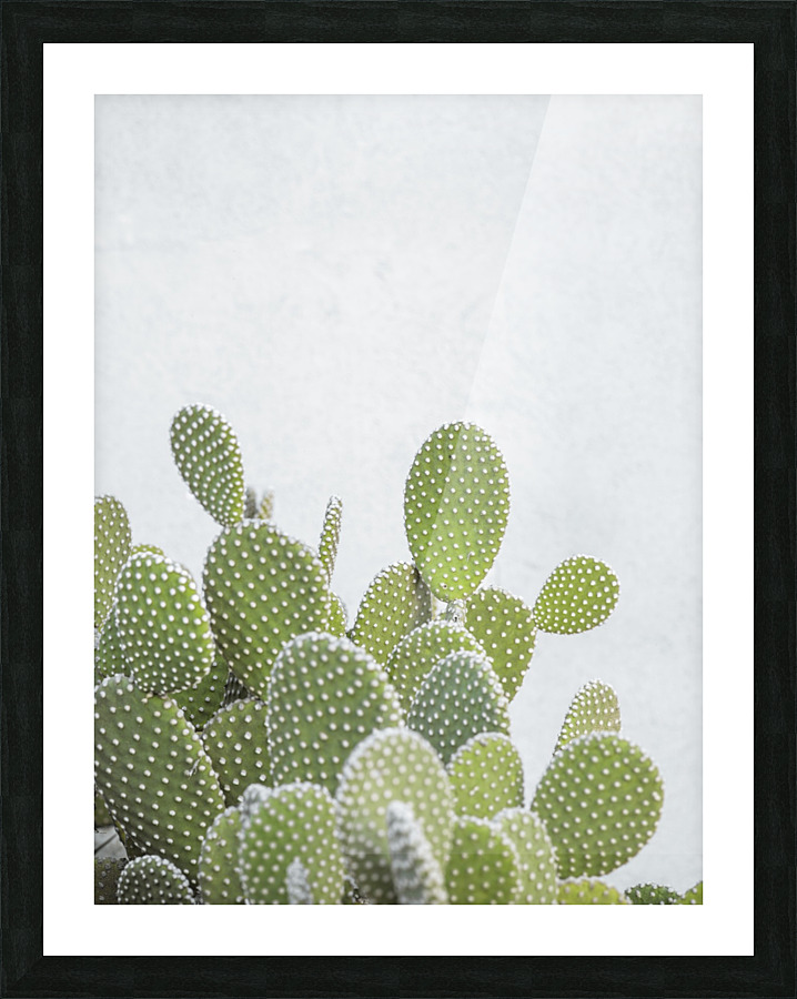 Cactus plant Picture Frame print