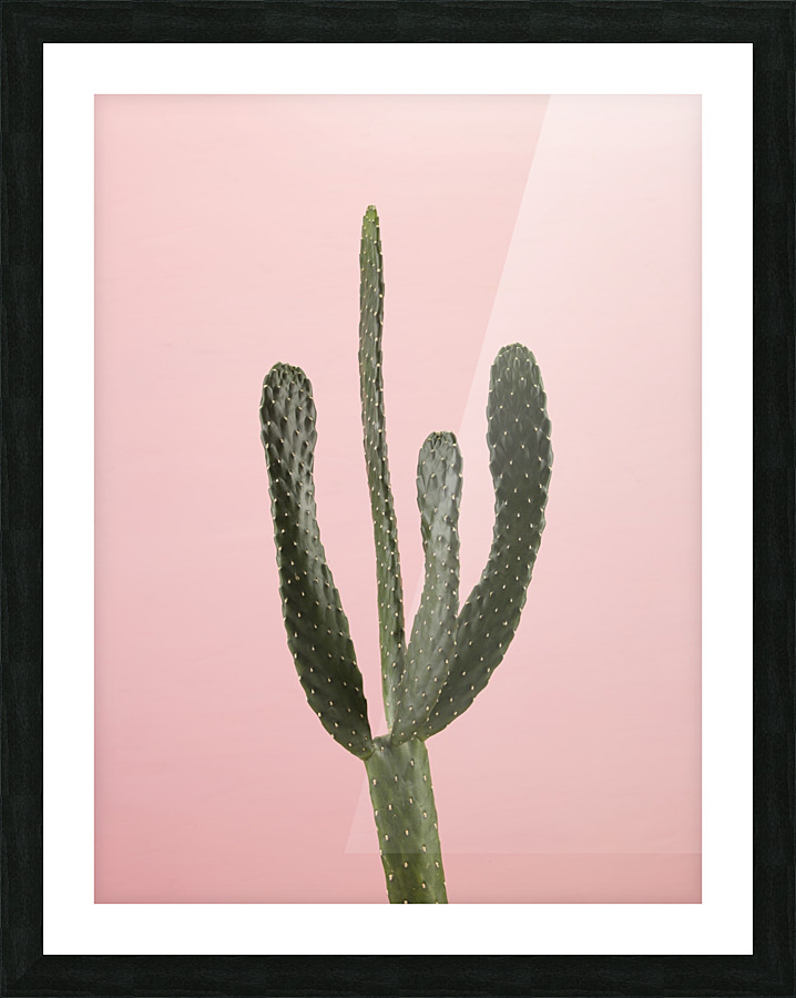 Cactus plant Picture Frame print