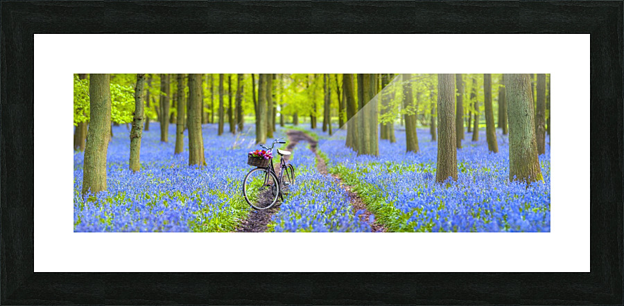 Bicycle in spring forest Picture Frame print