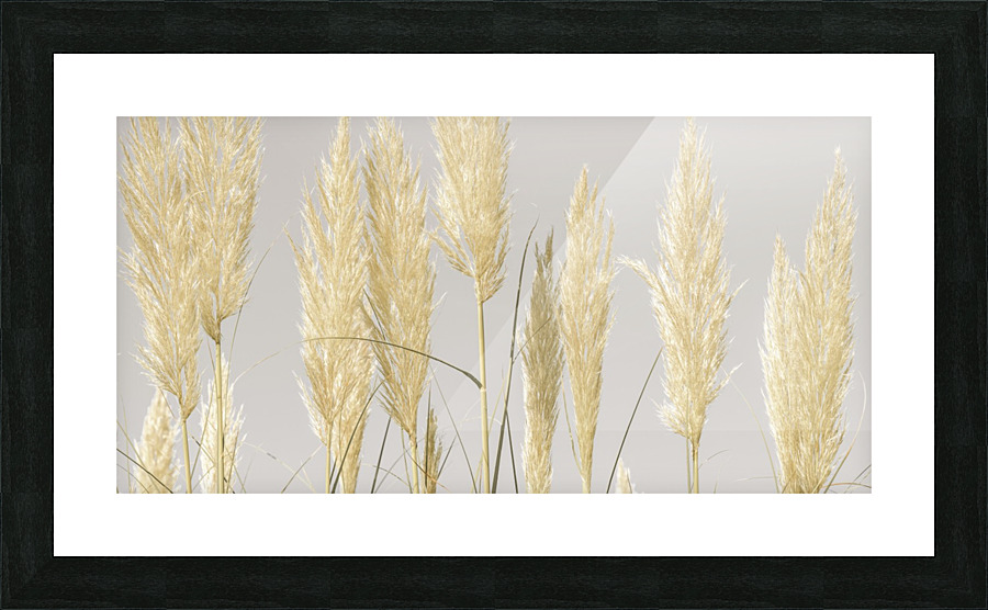 Feather Reeds Picture Frame print