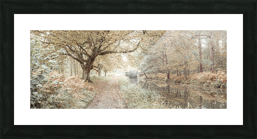 Canal through a forest Picture Frame print