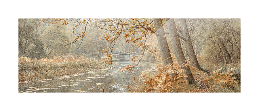 Canal through a forest Picture Frame print