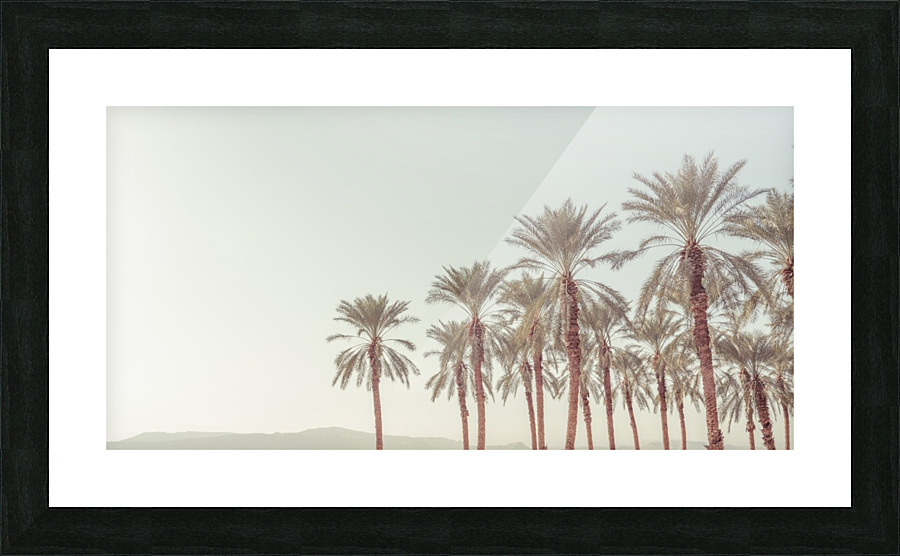 Palm Trees Impression et Cadre photo