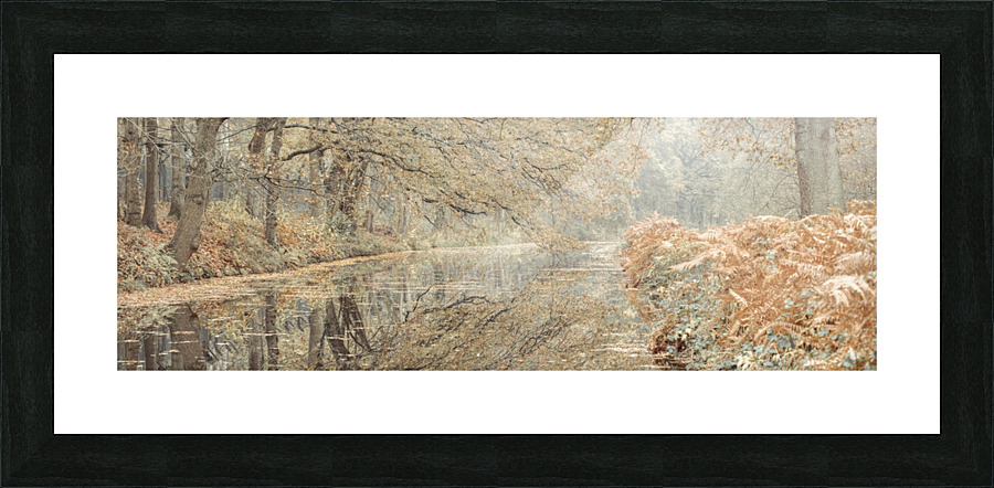 Canal through a forest Picture Frame print