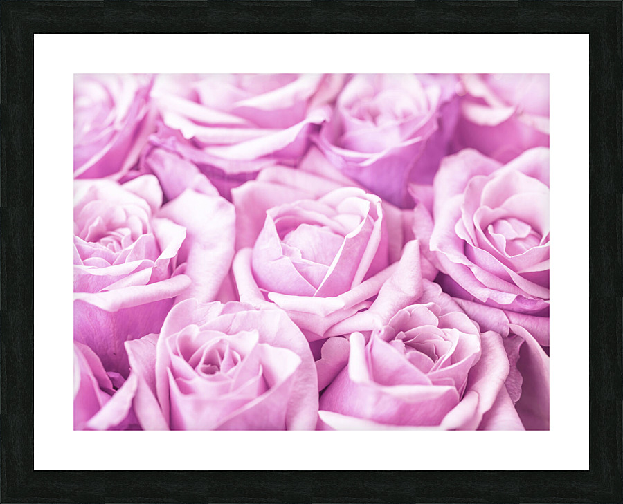 Rose Bunch Picture Frame print