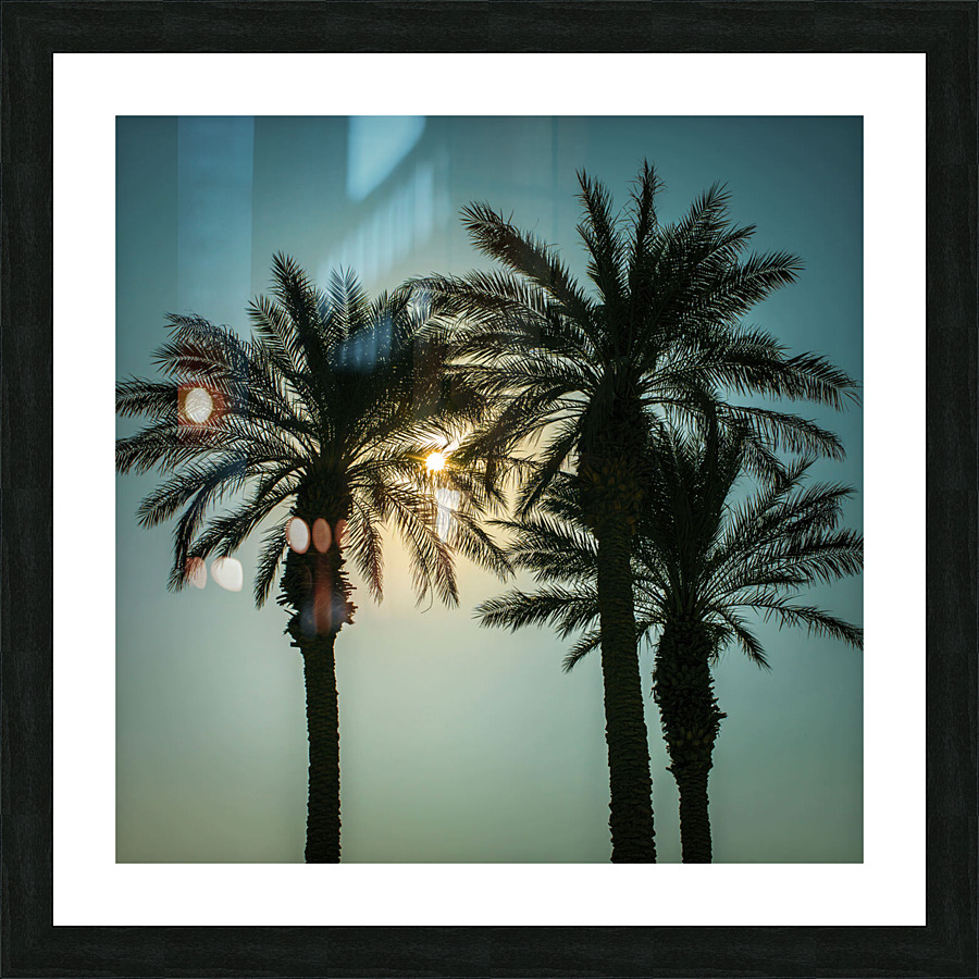 Palm Tree Picture Frame print