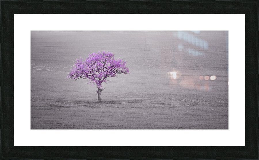Lone Tree Picture Frame print