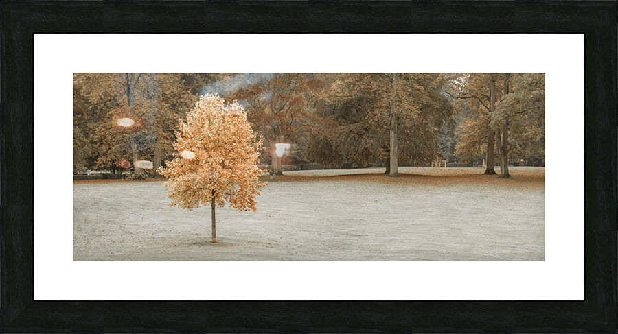 Tree in Autumn Picture Frame print