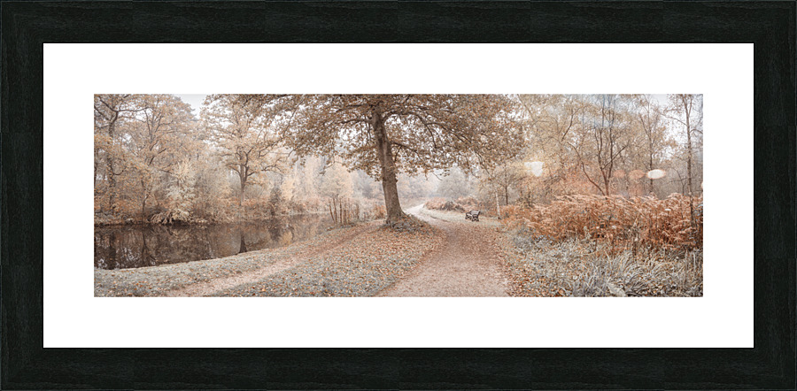 Misty Canal Picture Frame print