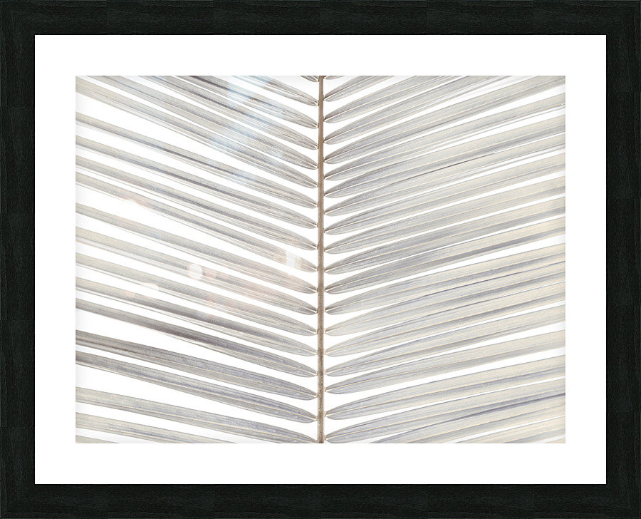Palm Leaf Picture Frame print