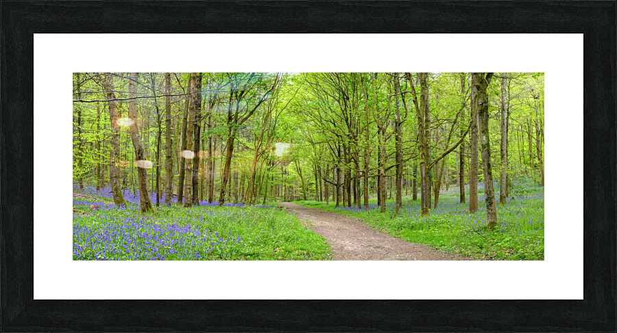 Blubells Forest Picture Frame print