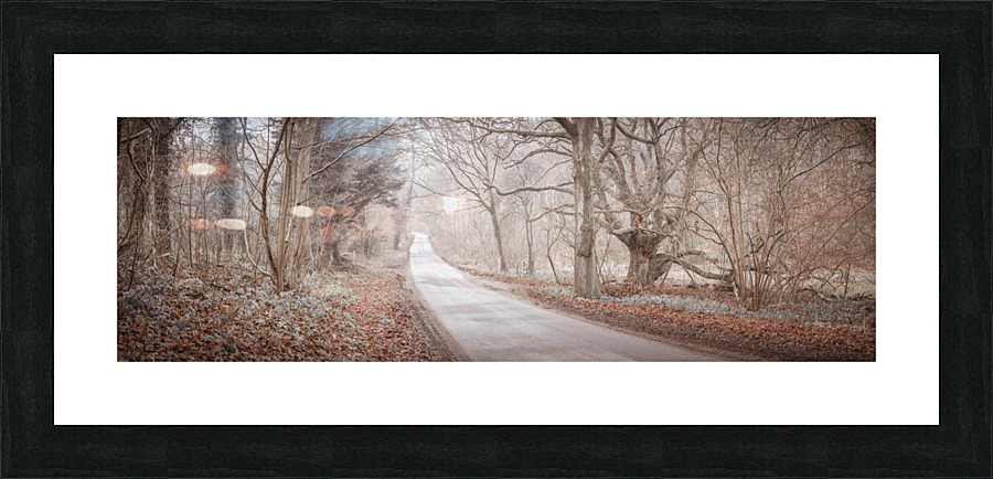 Road through forest Picture Frame print