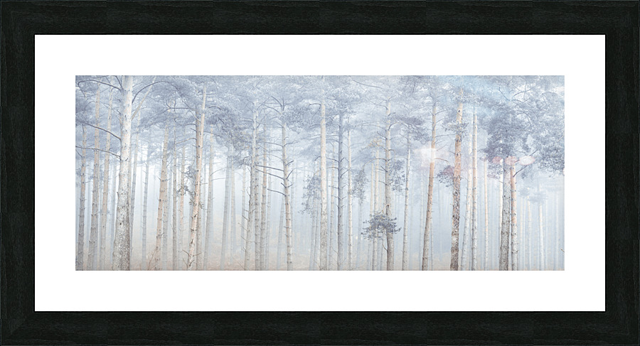 Misty Forest Picture Frame print