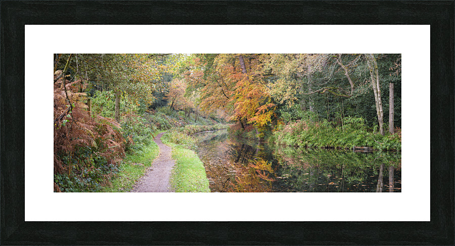 Pathway by Canal Picture Frame print