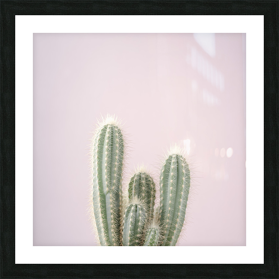 Cactus Picture Frame print