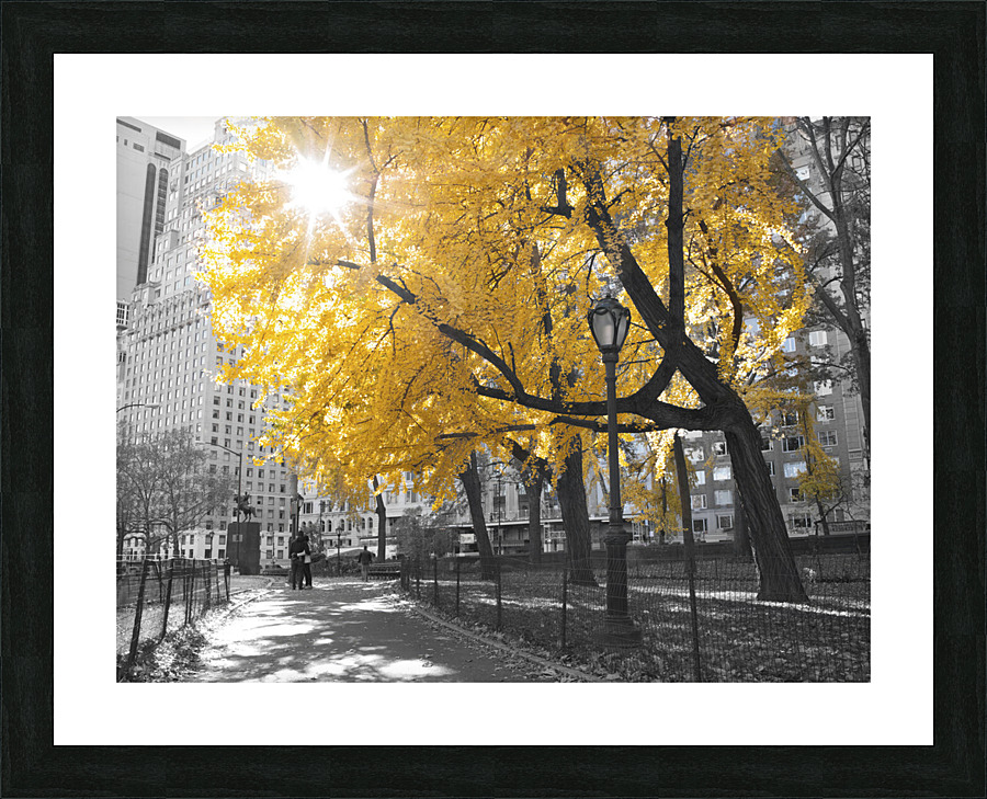 Park Pretty Picture Frame print