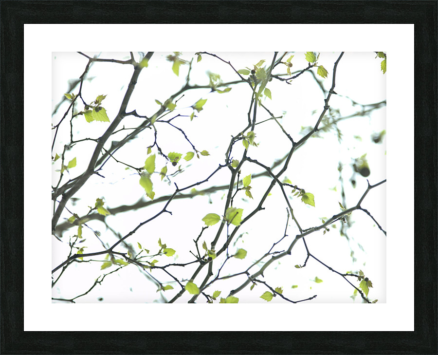 Twigs Picture Frame print