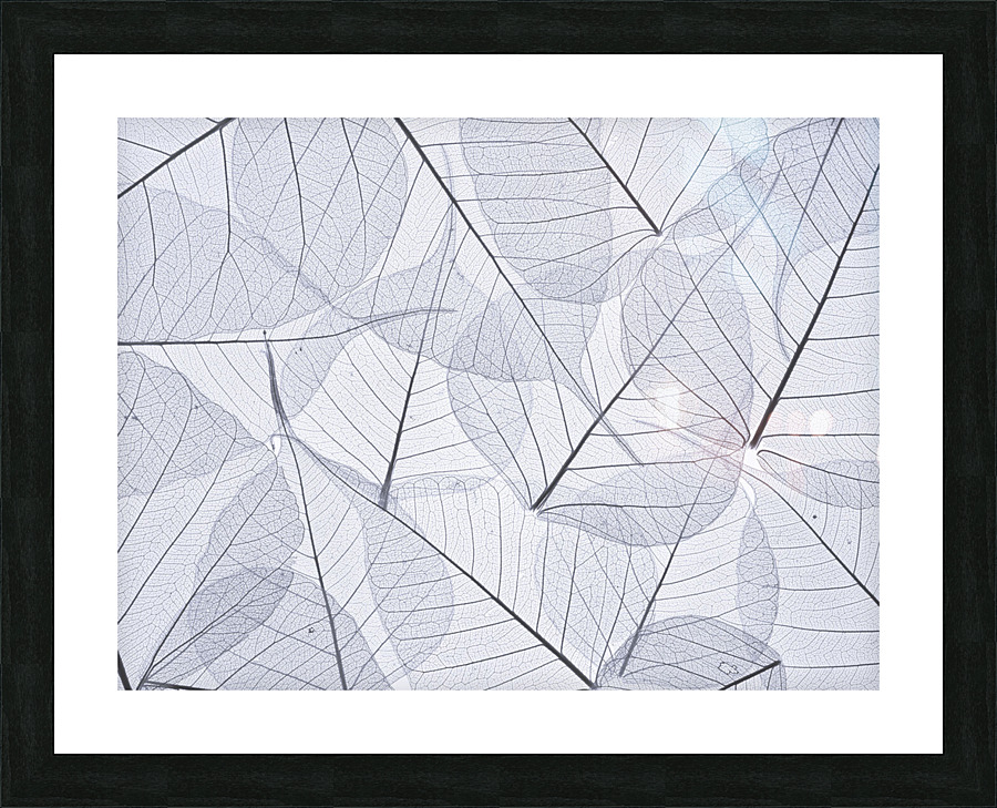 Skeleton Leaves Picture Frame print