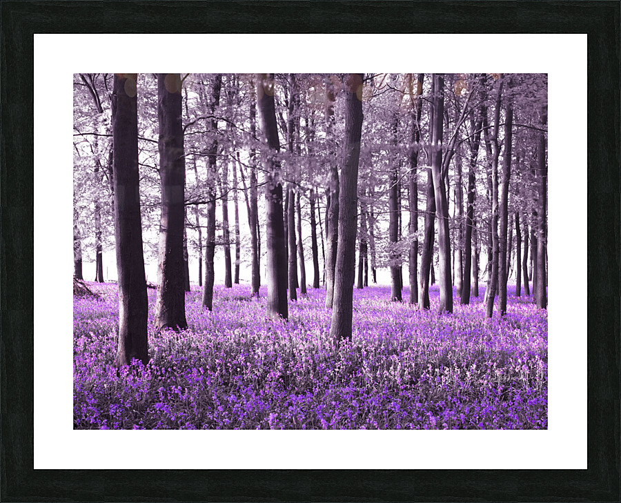 Fairytale Forest Picture Frame print
