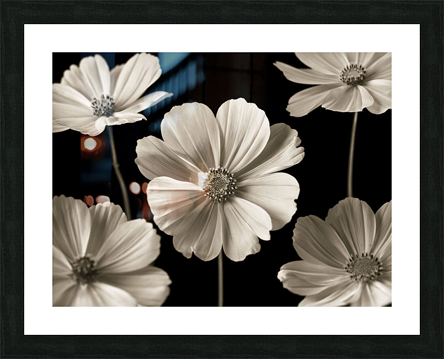 Cosmic Splendor Picture Frame print