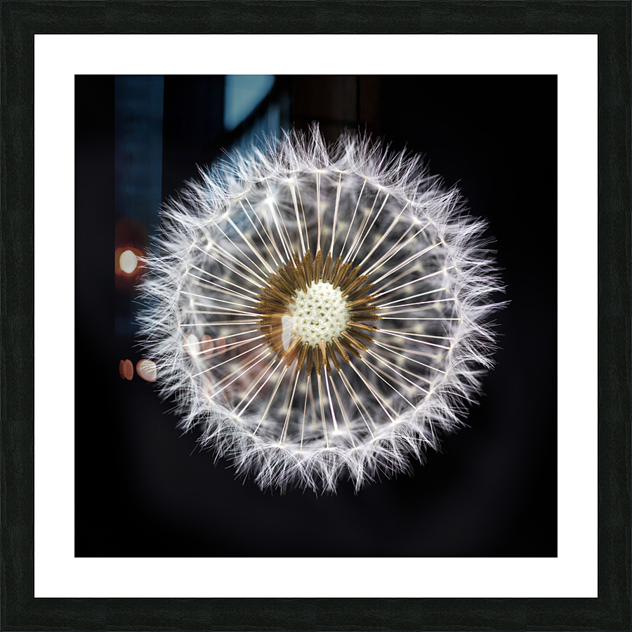 Ethereal Dandelion Clock Picture Frame print